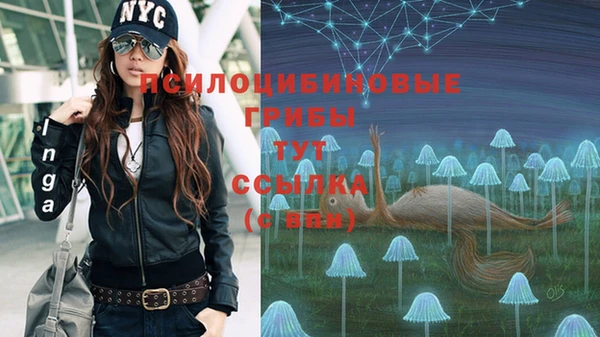 винт Лихославль