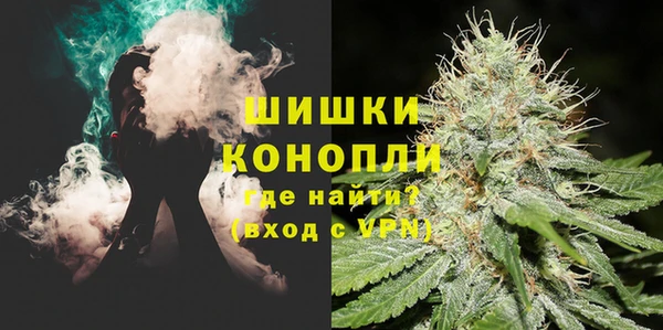 прущие грибы Майский