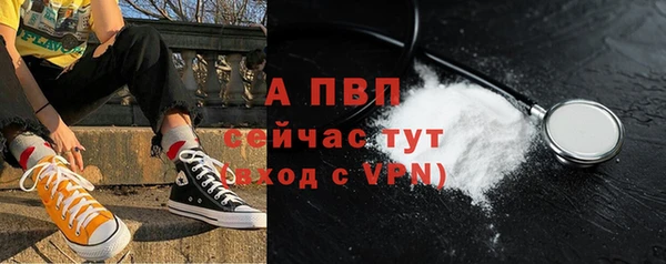 твердый Магас