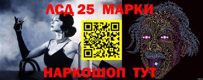 a pvp Моздок