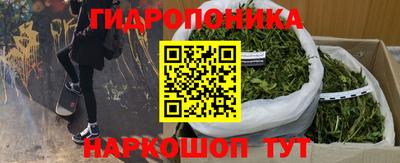 МДМА Можга