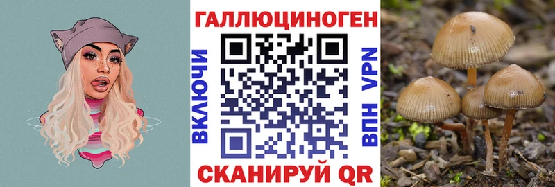 магазин продажи наркотиков  mega ССЫЛКА  Псилоцибиновые грибы GOLDEN TEACHER  Южноуральск 