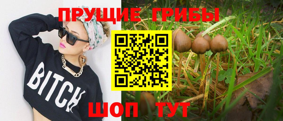 Галлюциногенные грибы прущие грибы Южноуральск