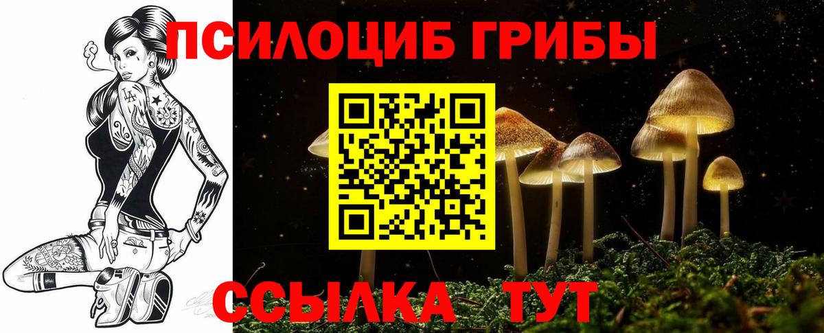 Галлюциногенные грибы Cubensis  Вход с VPN  Псилоцибиновые грибы Psilocybe  Южноуральск 
