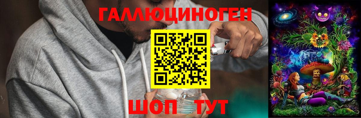 Галлюциногенные грибы Psilocybe Южноуральск